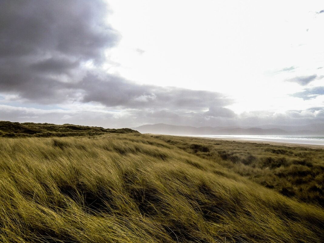 grass-264758_1280