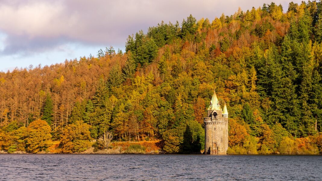 autumn-7185070_1280