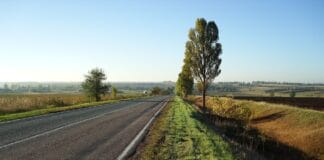 Najciekawsze torfowiska i wrzosowiska Wysp Brytyjskich