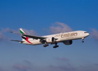 Najlepsze miejsca na jazdę konną w Dartmoor