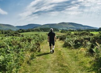 Najbardziej malownicze mosty w Devon