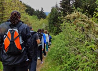 Mityczne olbrzymy z Giant’s Causeway w Irlandii Północnej