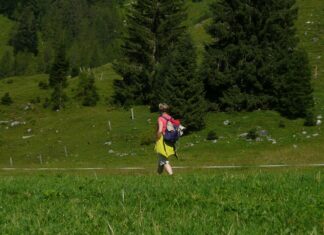 Sztuka współczesna w Belfaście