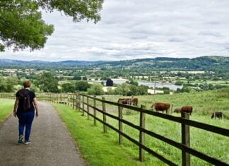 Poezja miłosna Yeatsa