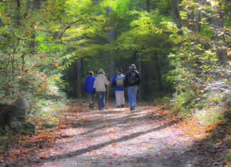 Kulinarna Podróż po Portsmouth – Najlepsze Miejsca na Ryby i Frytki