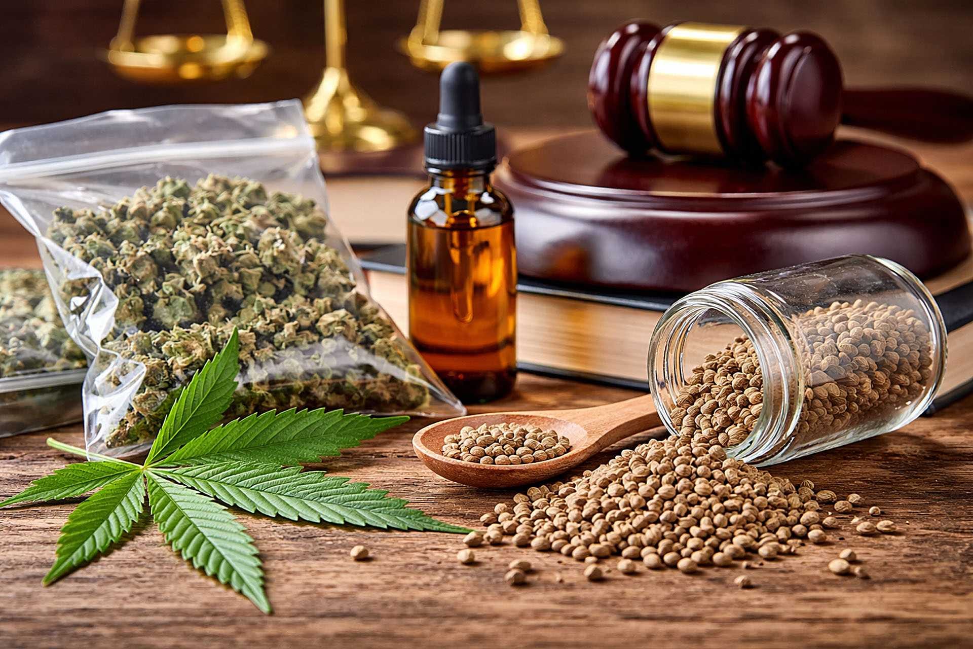 Nasiona marihuany a przepisy prawa – fakty, mity i najczęstsze nieporozumienia